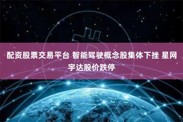 配资股票交易平台 智能驾驶概念股集体下挫 星网宇达股价跌停