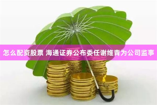 怎么配资股票 海通证券公布委任谢维青为公司监事