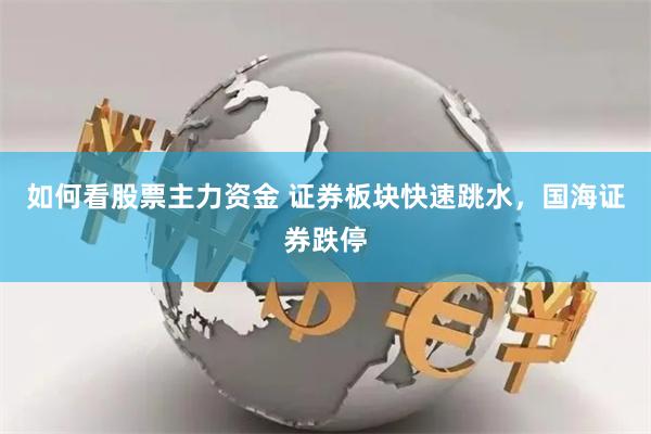 如何看股票主力资金 证券板块快速跳水，国海证券跌停