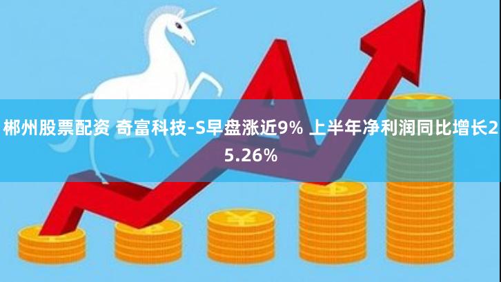 郴州股票配资 奇富科技-S早盘涨近9% 上半年净利润同比增长25.26%