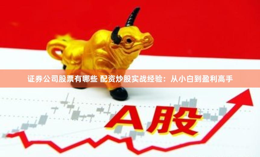 证券公司股票有哪些 配资炒股实战经验：从小白到盈利高手