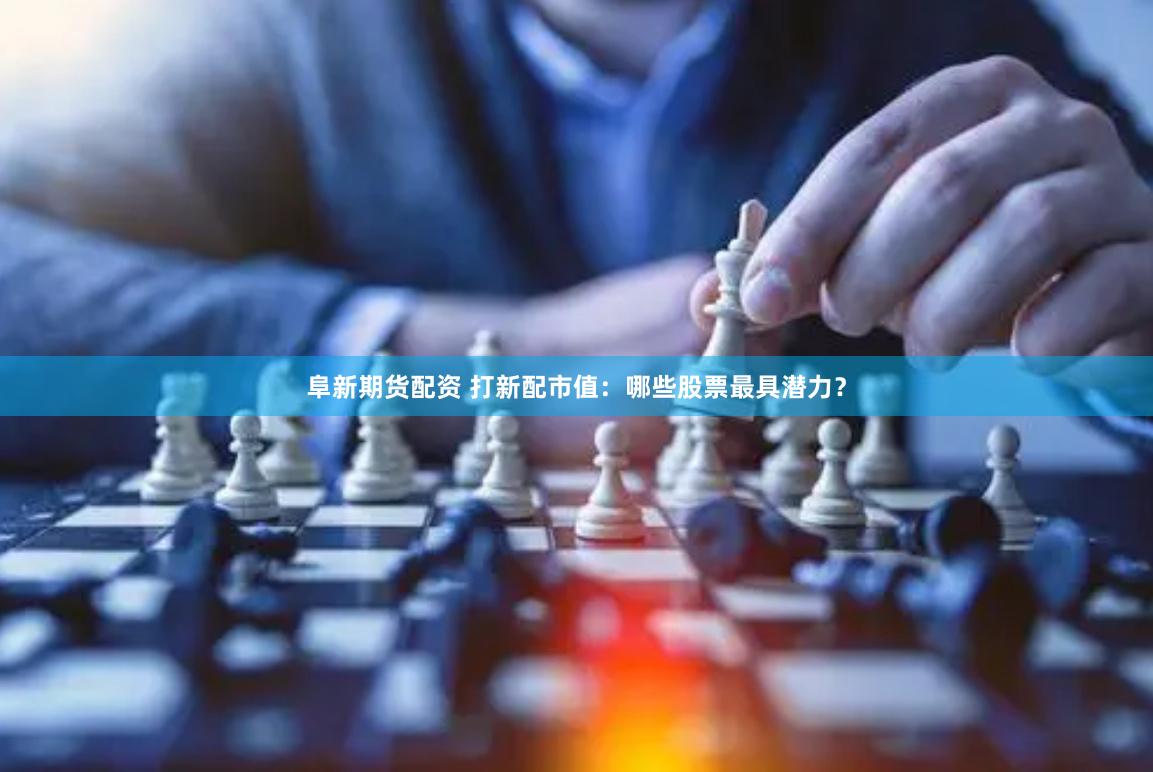 阜新期货配资 打新配市值：哪些股票最具潜力？