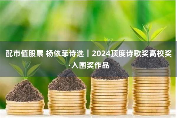 配市值股票 杨依菲诗选｜2024顶度诗歌奖高校奖·入围奖作品
