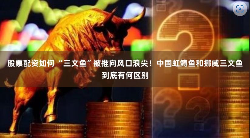 股票配资如何 “三文鱼”被推向风口浪尖！中国虹鳟鱼和挪威三文鱼到底有何区别